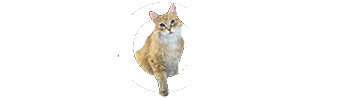 Catgenie logo